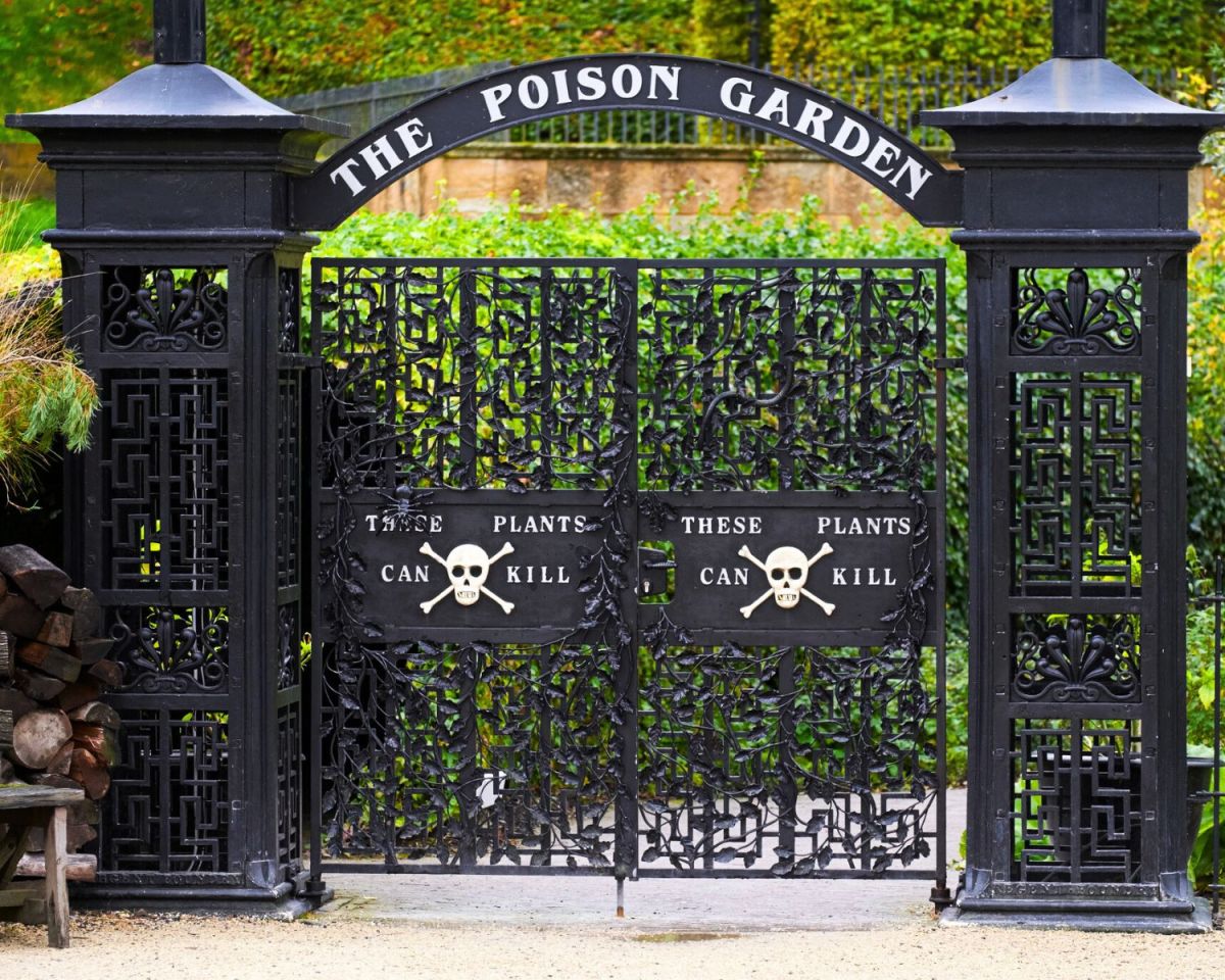 Poison Garden