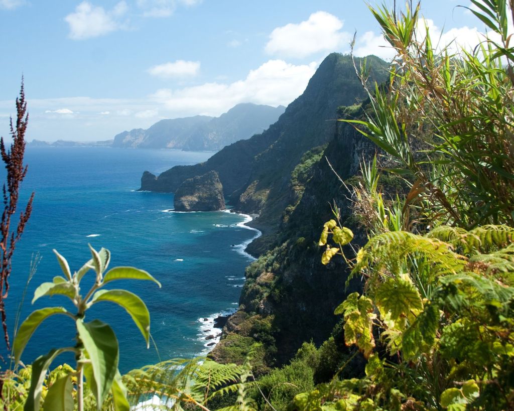 Madeira ist grüner als die Kanaren.