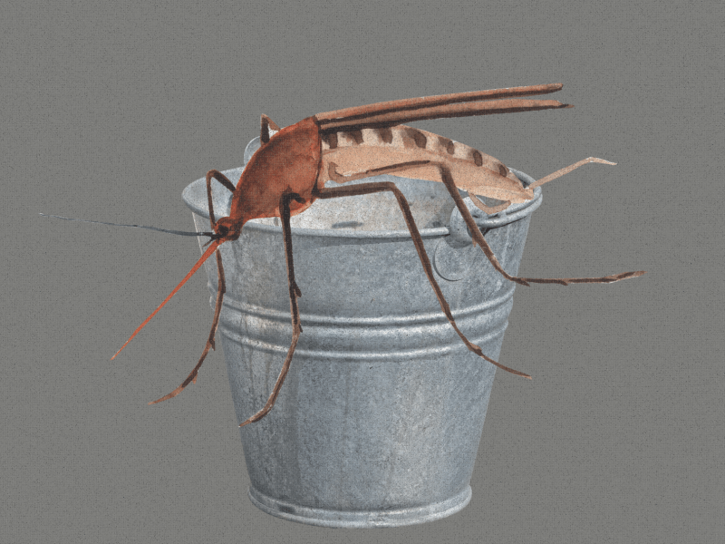Bucket of Doom