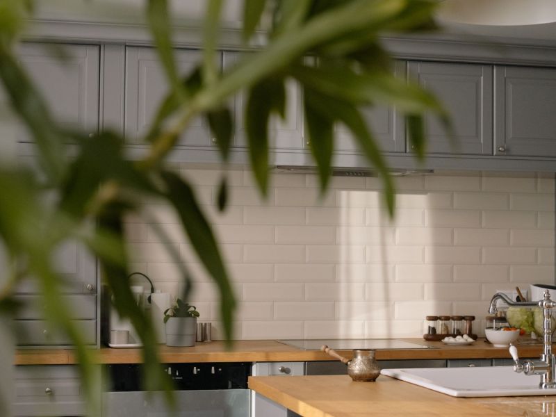 Küche mit Pflanze vor der Kameralinse