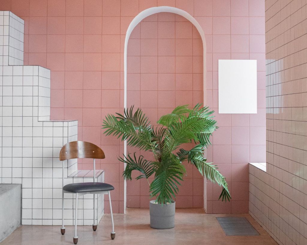 Monstera vor einer pinkfarbenen Wand und neben einem Stuhl