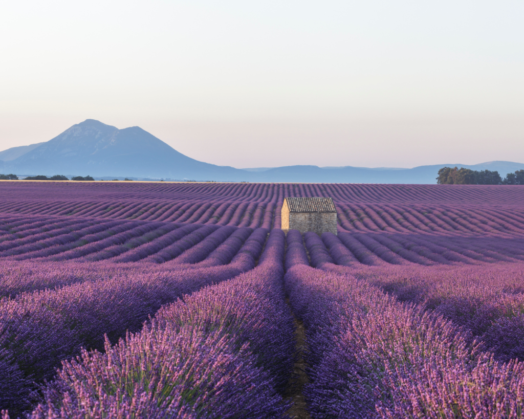 Provence
