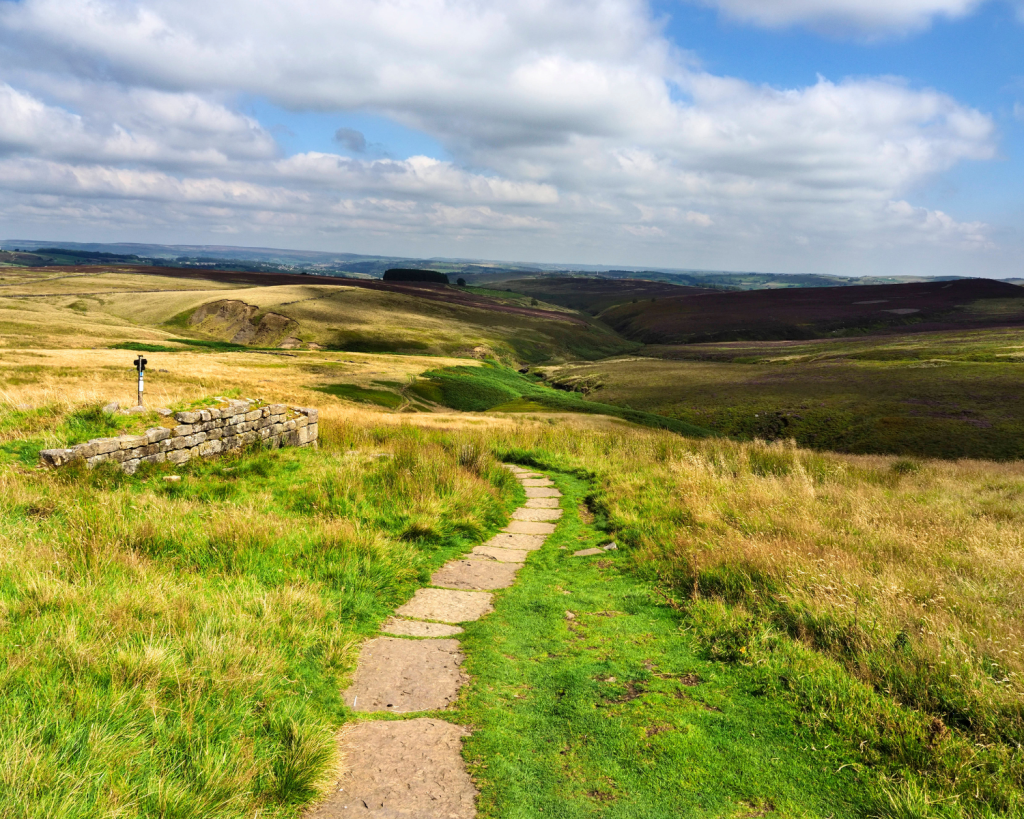 Alle Naturfans kommen ebenfalls auf ihre Kosten, denn die umliegende Natur lädt zu ausgiebigen Spaziergängen ein.
