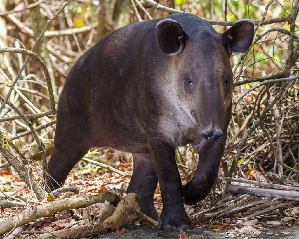 TimeOut enthüllt: 4 unterschätzte Reiseziele, die jeder gesehen haben sollte.