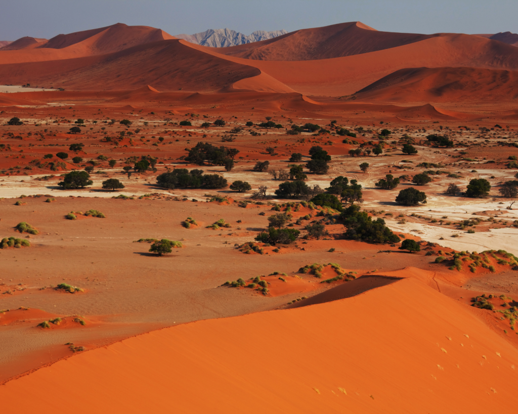 Die Namib ist etwa 95.000 km² groß und liegt im Mittel knapp 500 Meter über dem Meeresspiegel.
