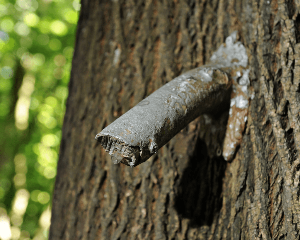 Durch ein Rohrsystem, verbunden mit einem Bewegungsmelder, gelangt das Wasser nach draußen.