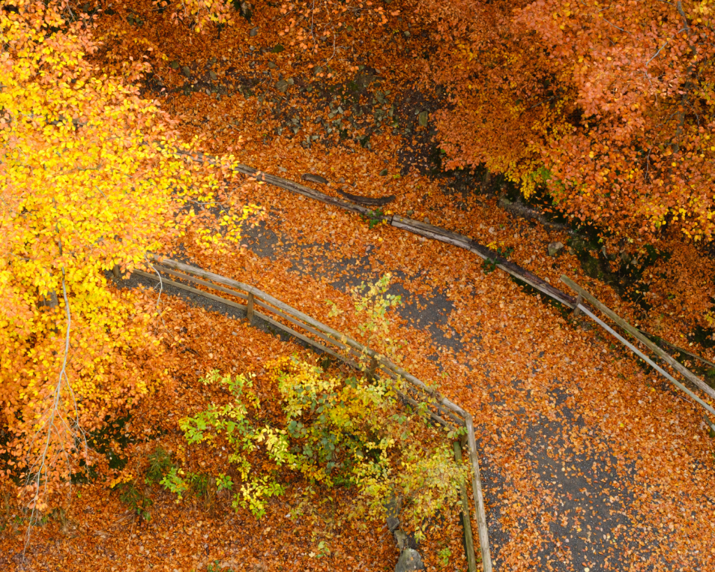 Der Nationalpark Harz ist ein bewaldetes Naturschutzgebiet im nördlichen Mitteldeutschland, das sich über die Bundesländer Niedersachsen und Sachsen-Anhalt erstreckt. 