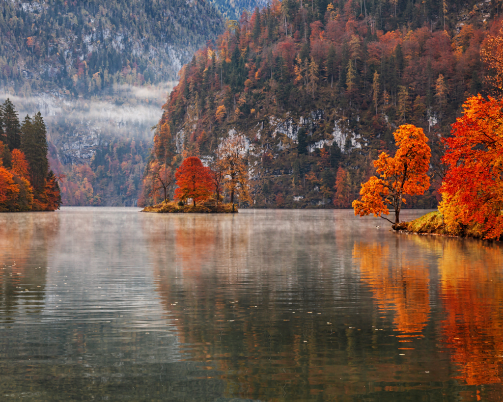 Mit seinem Wege-Netz mit über 250 Kilometern an Wanderwegen und Steigen ist der Nationalpark das perfekte Revier zum Wandern in Bayern.