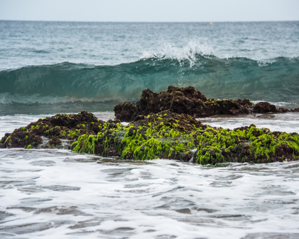 Santiago ist die größte Insel von Kap Verde, einem vulkanischen Archipel vor der Westküste Afrikas.