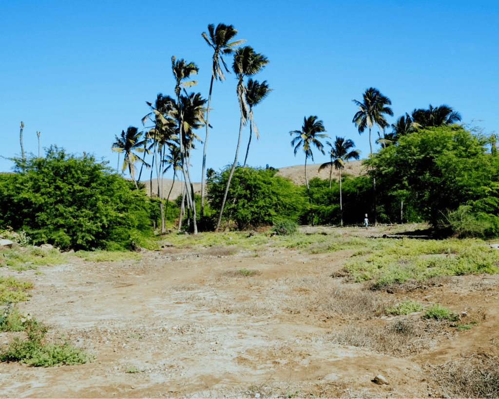 Maio ist für die Sandstrände in der Nähe der Hauptstadt Cidade do Maio und im Norden nahe dem Dorf Morrinho bekannt. 