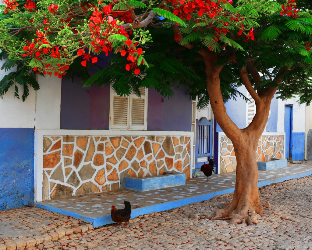 Die Hauptstadt der kapverdischen Insel Maio heißt Cidade do Maio. Sie ist ein beschauliches Städtchen mit etwa 4.000 Einwohner*innen.