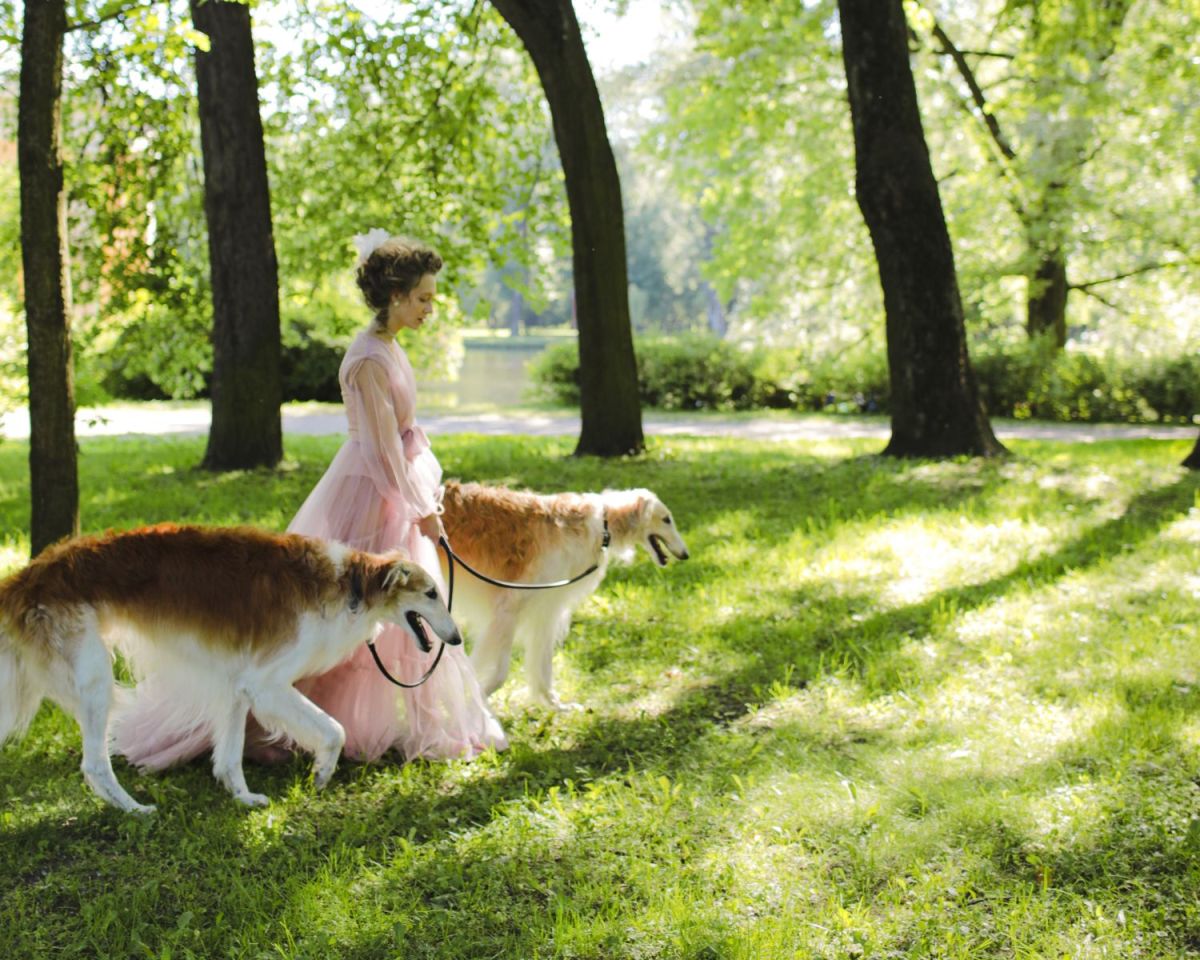 Frau mit Hunden im Park unterwegs