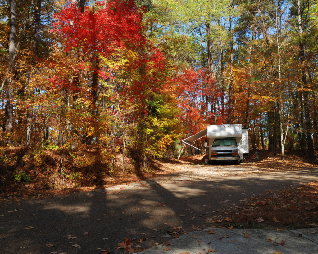 Rutschiges Laub auf der Straße sollte nicht unterschätzt werden.