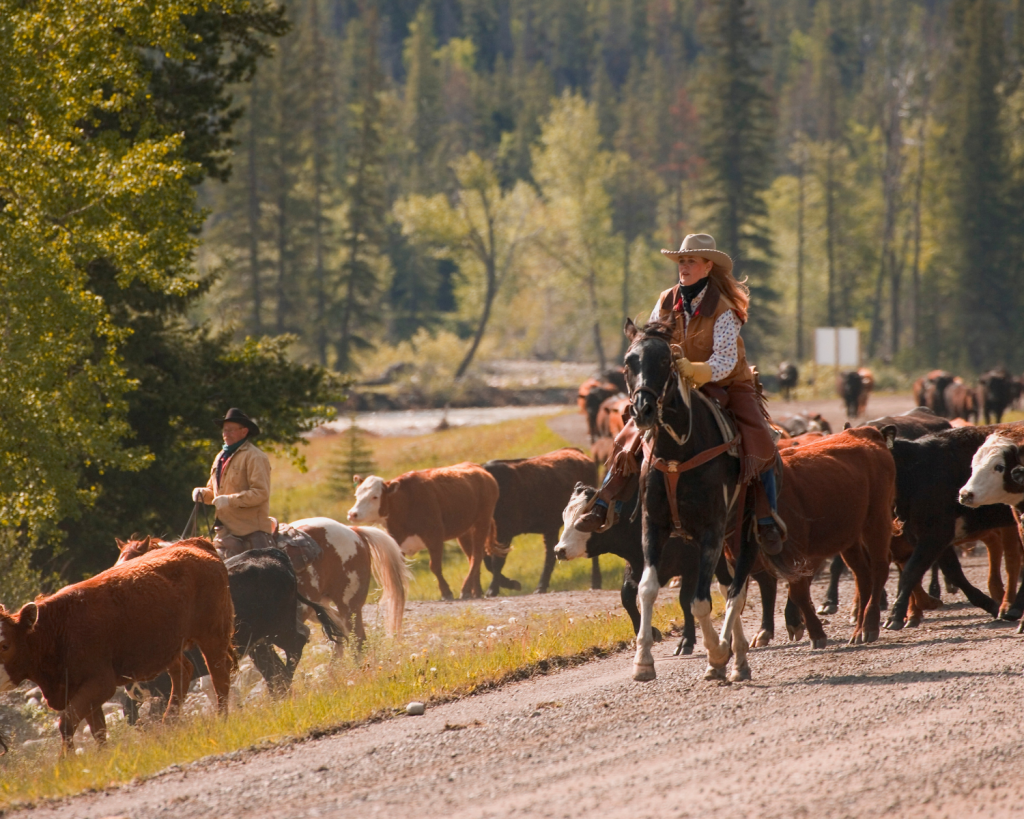 Fort Worth ist die fünftgrößte Stadt in Texas und die sechzehntgrößte der Vereinigten Staaten.