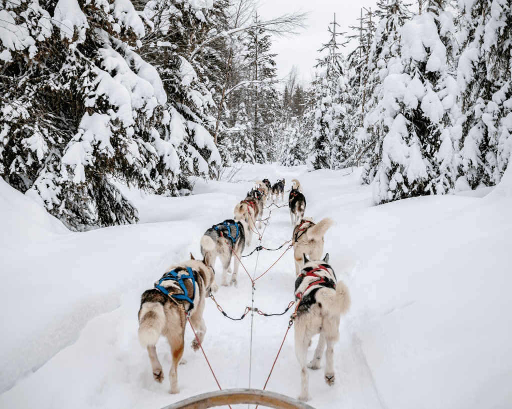 Laut der Analyse von Skyscanner kannst du bei einem Urlaub in Rovaniemi, Finnland, am meisten sparen.