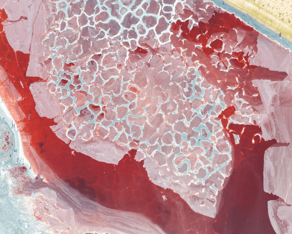 Seine charakteristische Farbe erhält der Ulan-See durch Algenarten, die den Farbstoff Beta-Carotin produzieren.