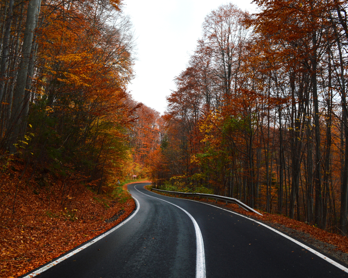 Vanlifer aufgepasst! Kälte, Dunkelheit, Nässe – 3 hilfreiche Tipps zum sicheren Fahren im Herbst.