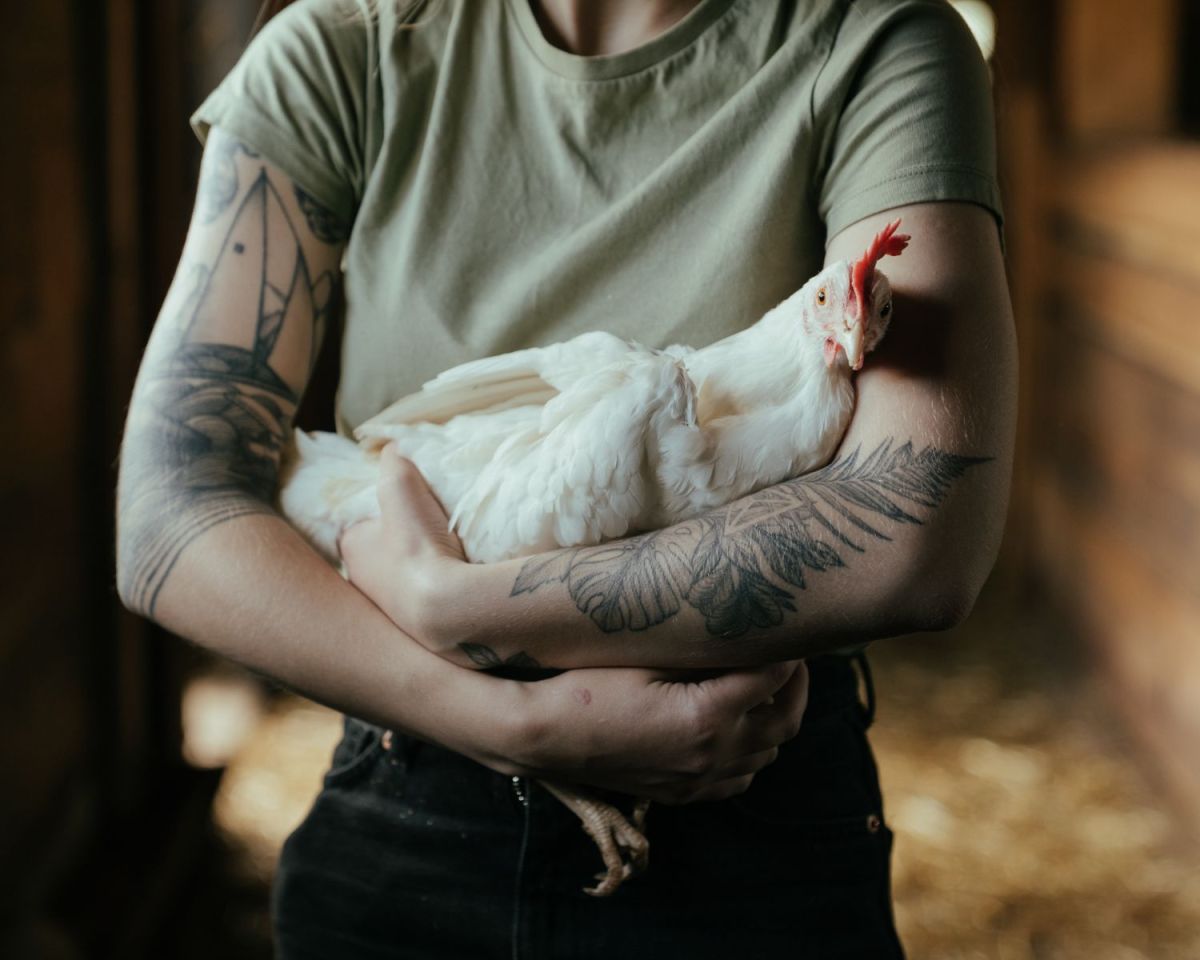 Frau hält Huhn im Arm