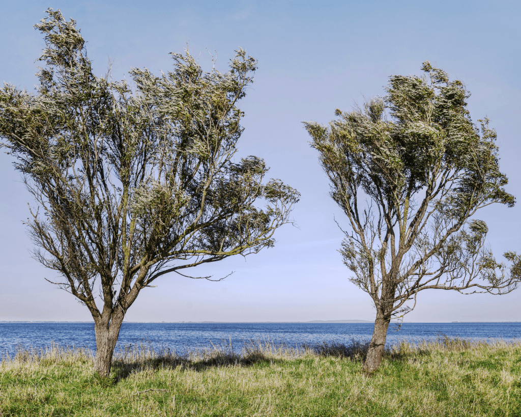 Die Insel Ummanz liegt in der Ostsee, westlich vorgelagert vor der Insel Rügen, und gehört wie diese zum Landkreis Vorpommern-Rügen in Mecklenburg-Vorpommern.