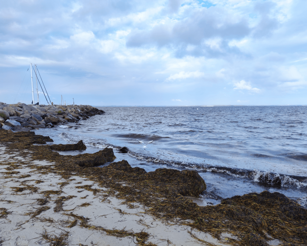 Die Insel Poel liegt rund 10 km nördlich von Wismar in der Wismarer Bucht am Südrand der Ostsee.