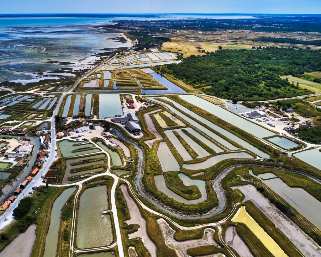 Die Île d’Oléron ist die zweitgrößte französische Insel in Europa.